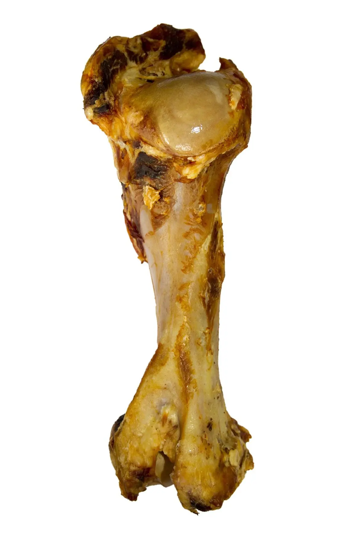 Voskes Runderbot 1