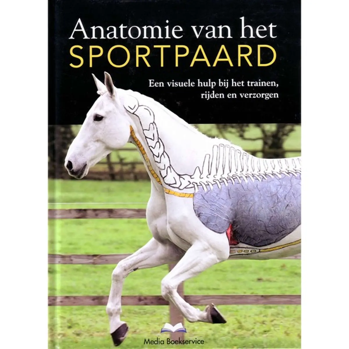 Anatomie Van Het Sportpaard 1