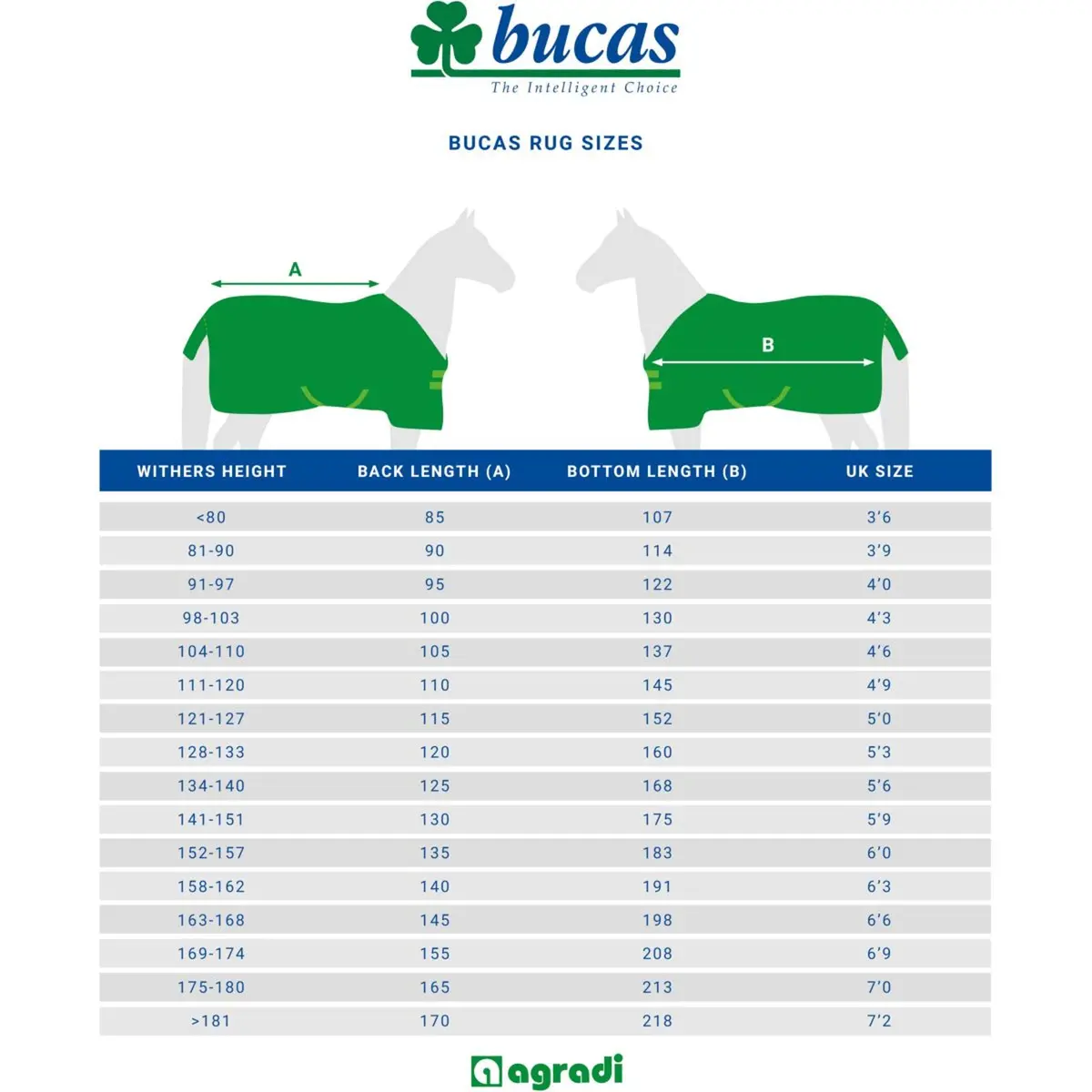 Bucas Therapy Cooler Navy/Orange 11