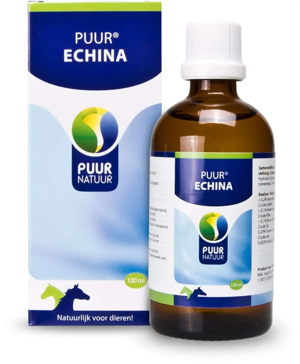 Puur Echina Paard/Pony 1