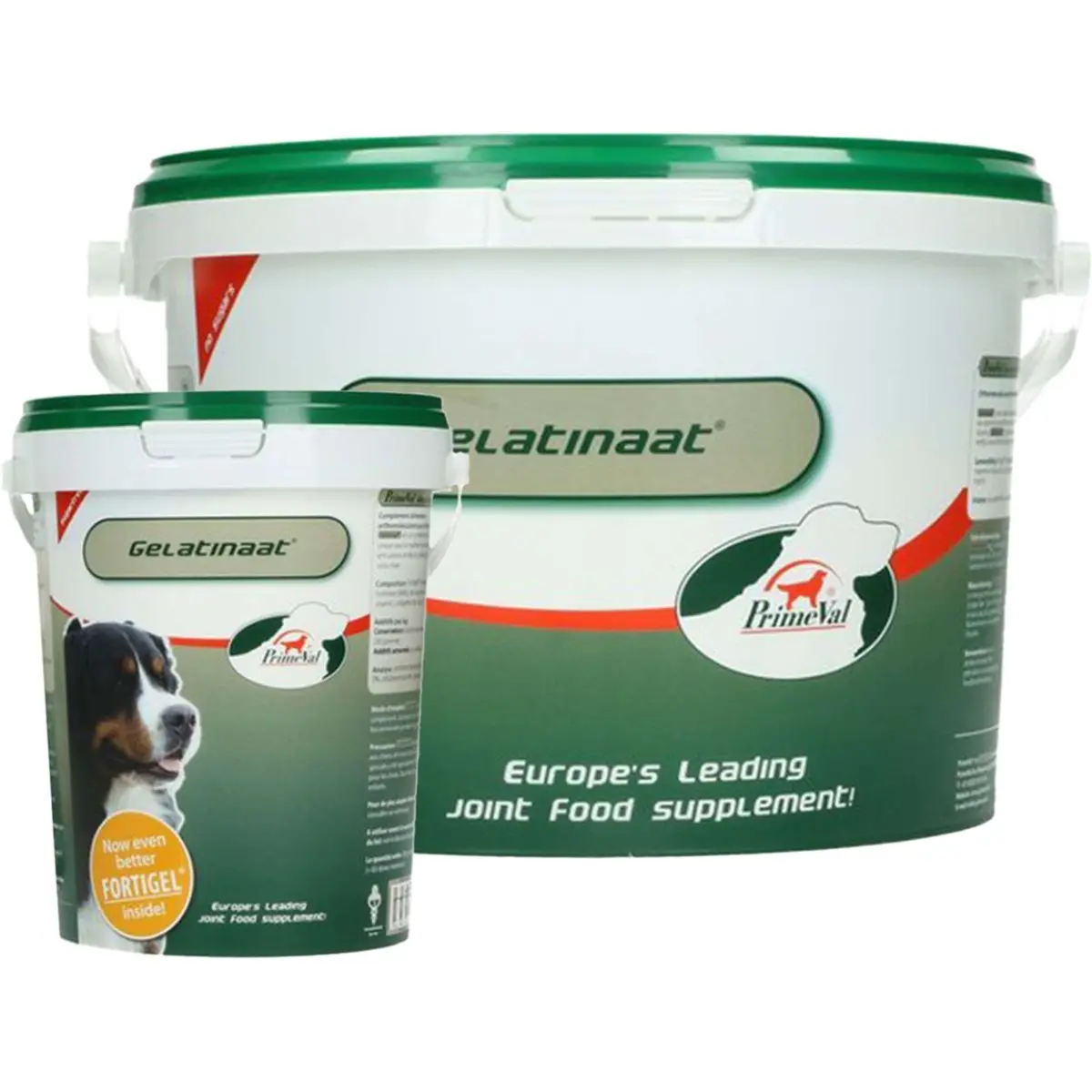 Primeval Gelatinaat Hond 1