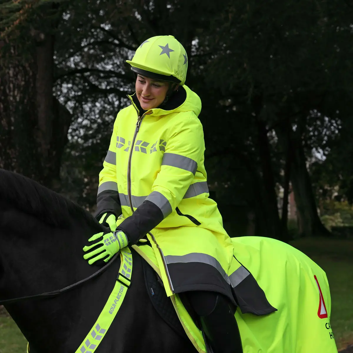 Reflectie Set Paard 1