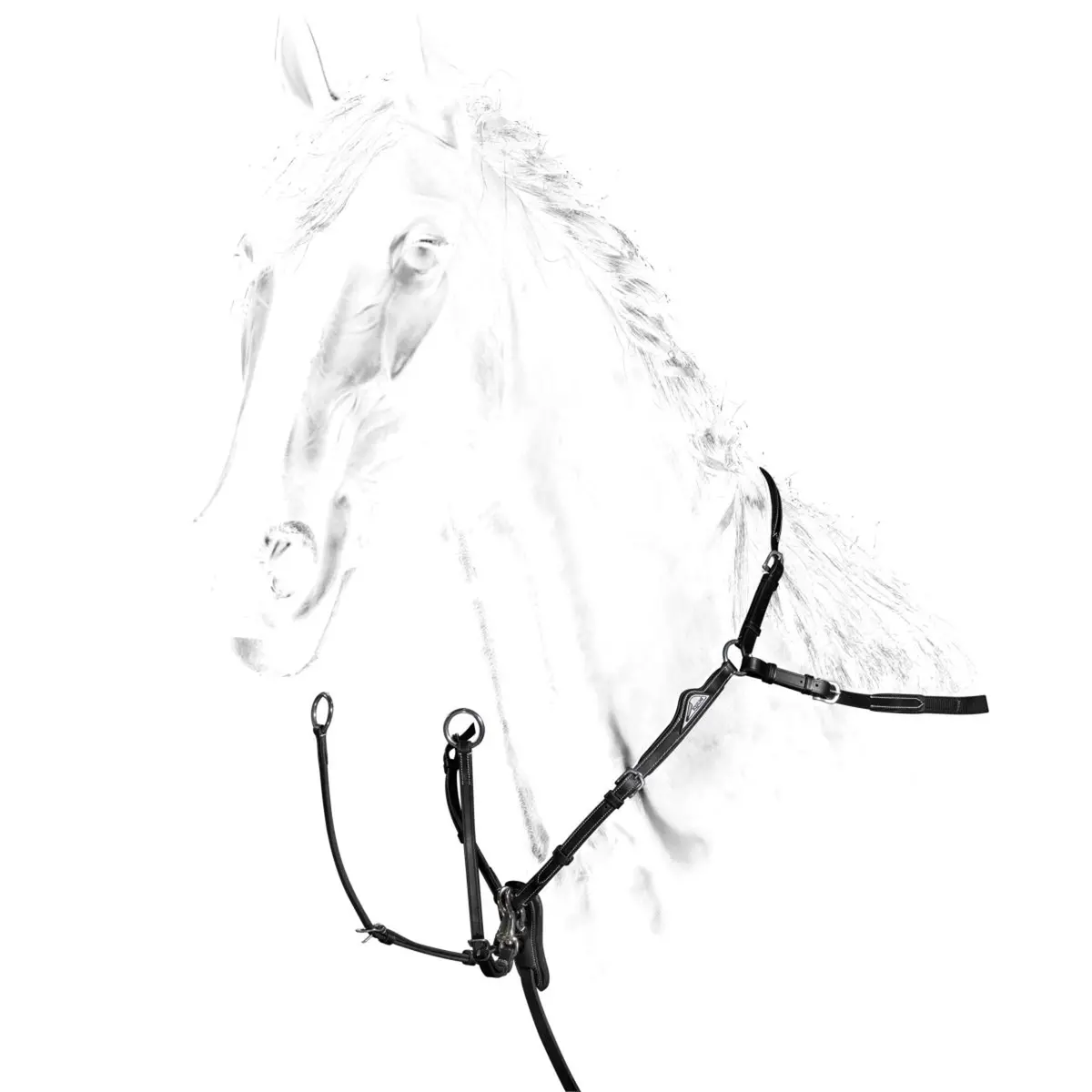 Equiline Borsttuig Zwart 1