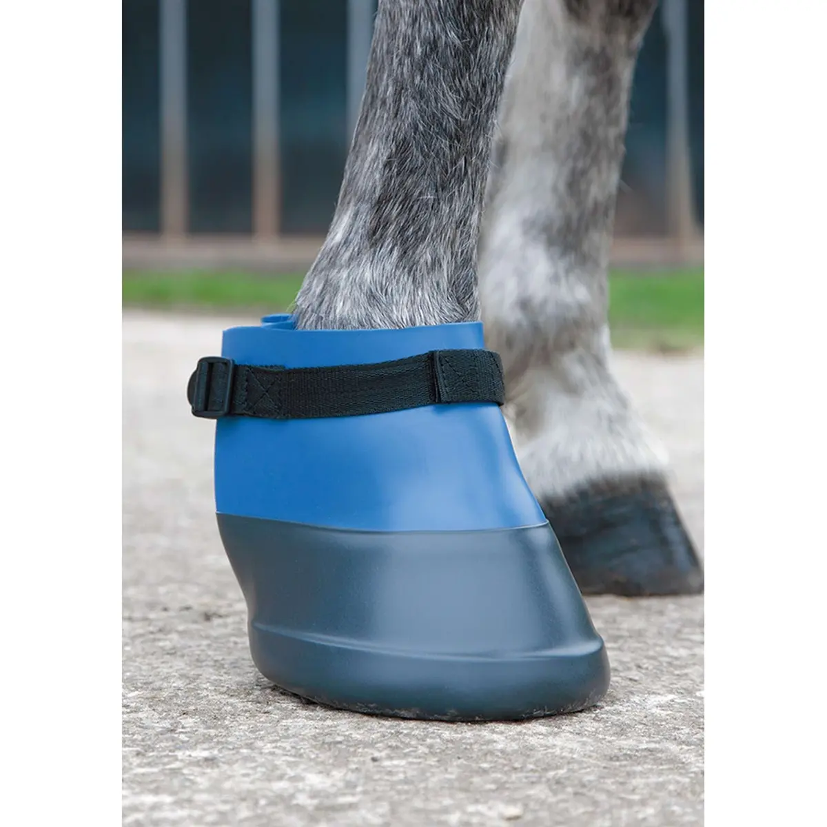 Shires Hoefschoen Rubber Blue 1
