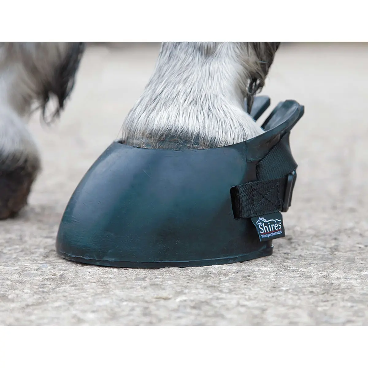 Shires Hoefschoen Temp Black 1