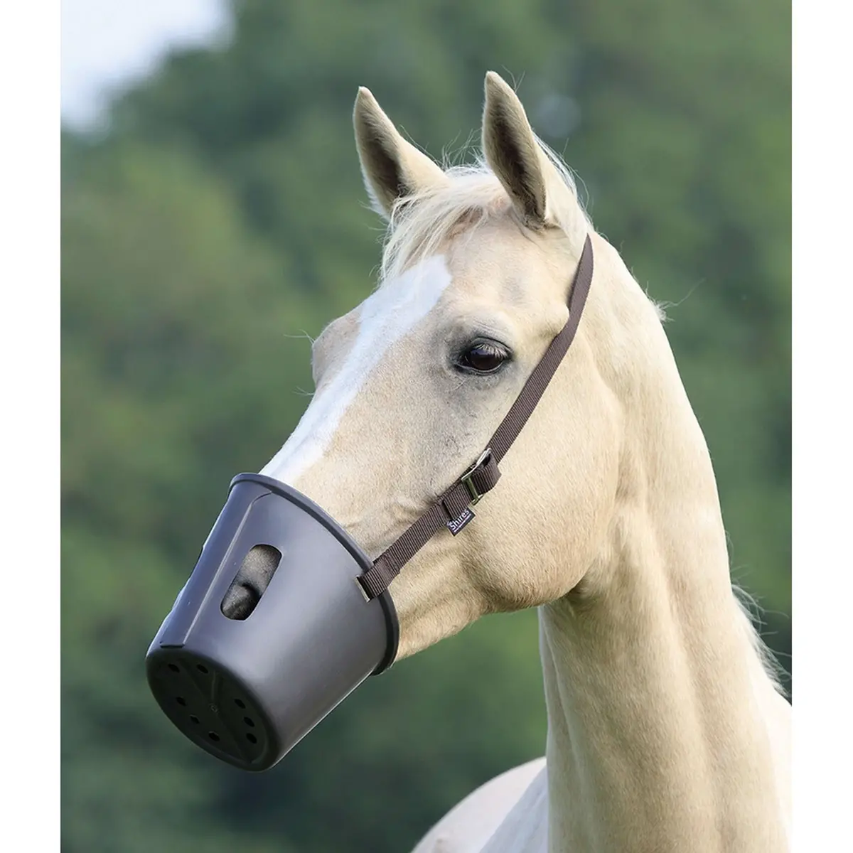 Shires Muilkorf Plastic Brown 1