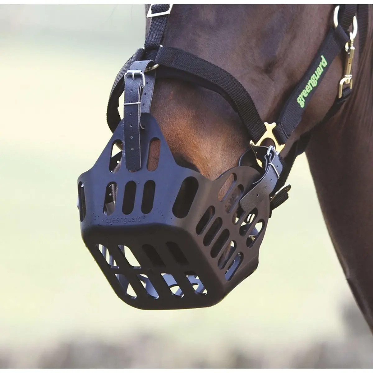 Greenguard Reserve Riempje Black 1