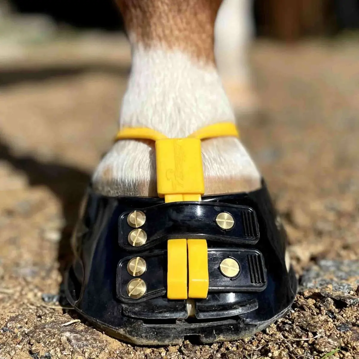 Scoot Boot Mud Strap Marigold 1
