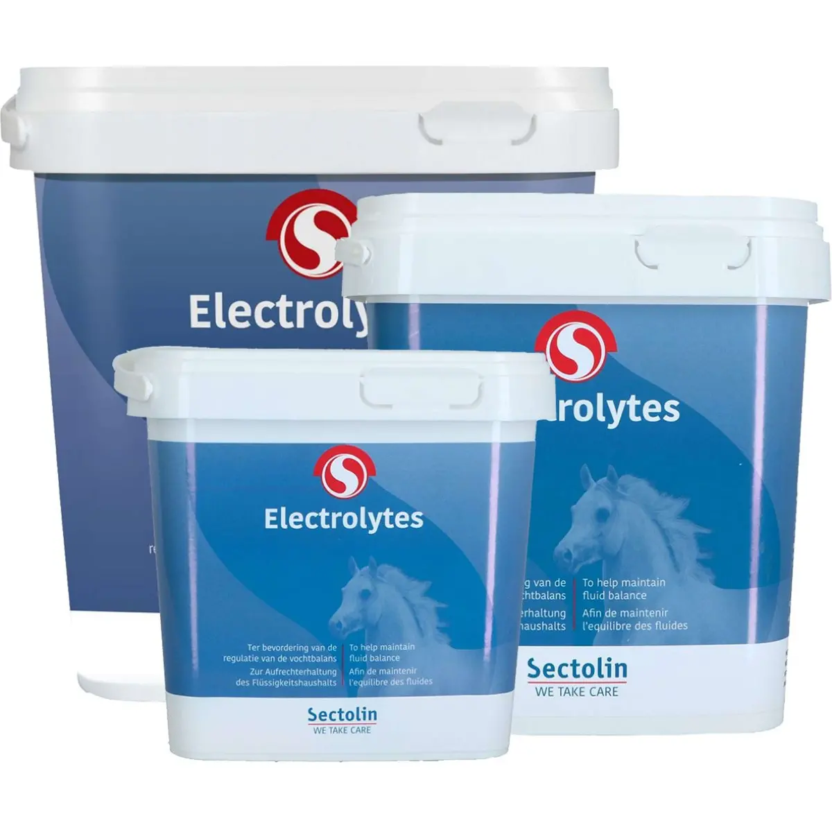 Sectolin Electrolyten 1