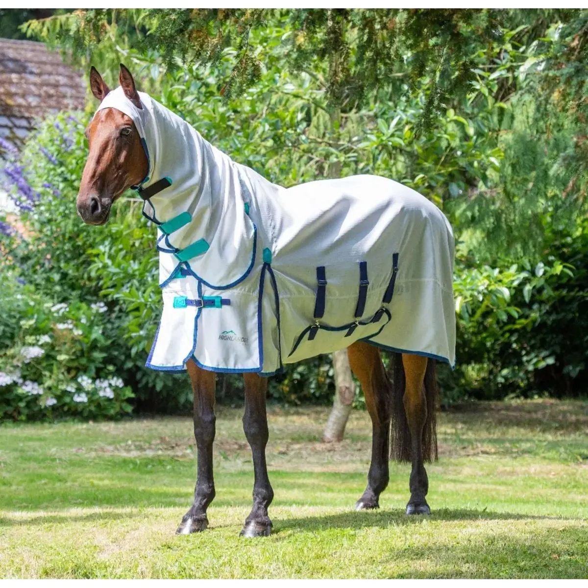 Highlander Plus By Shires Eczeemdeken Sweet-Itch Combo White 1