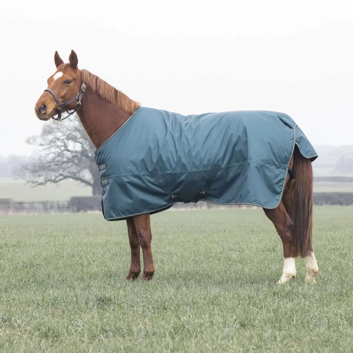 Tempest Winterdeken Turnout Typhoon 200G Groen 1