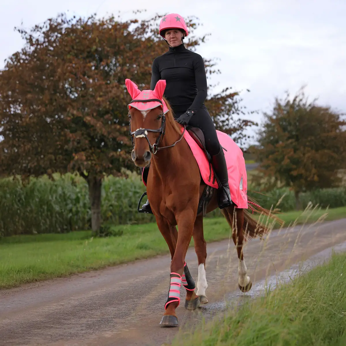 Shires Equi-Flector Roze 1