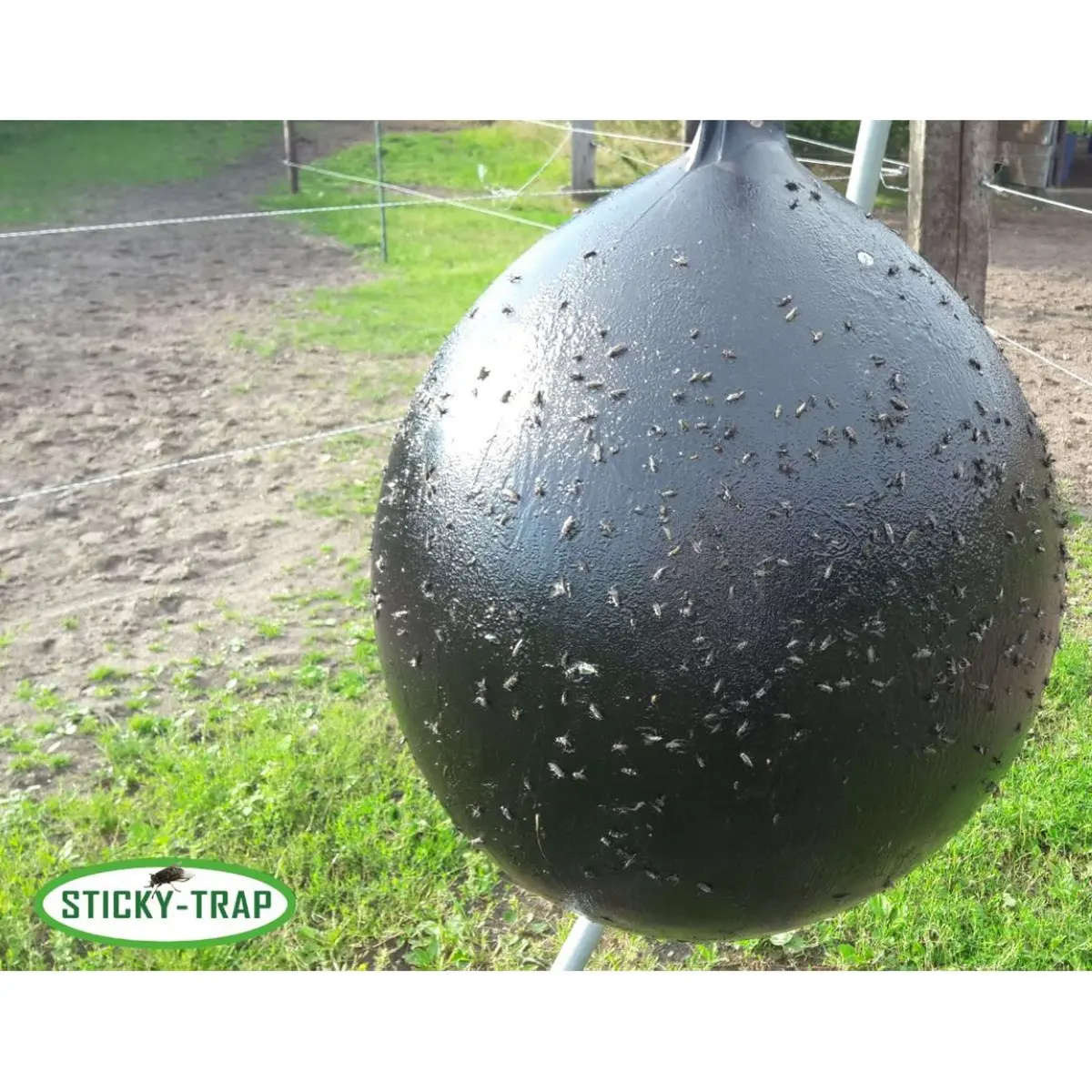 Sticky Trap Ball 1