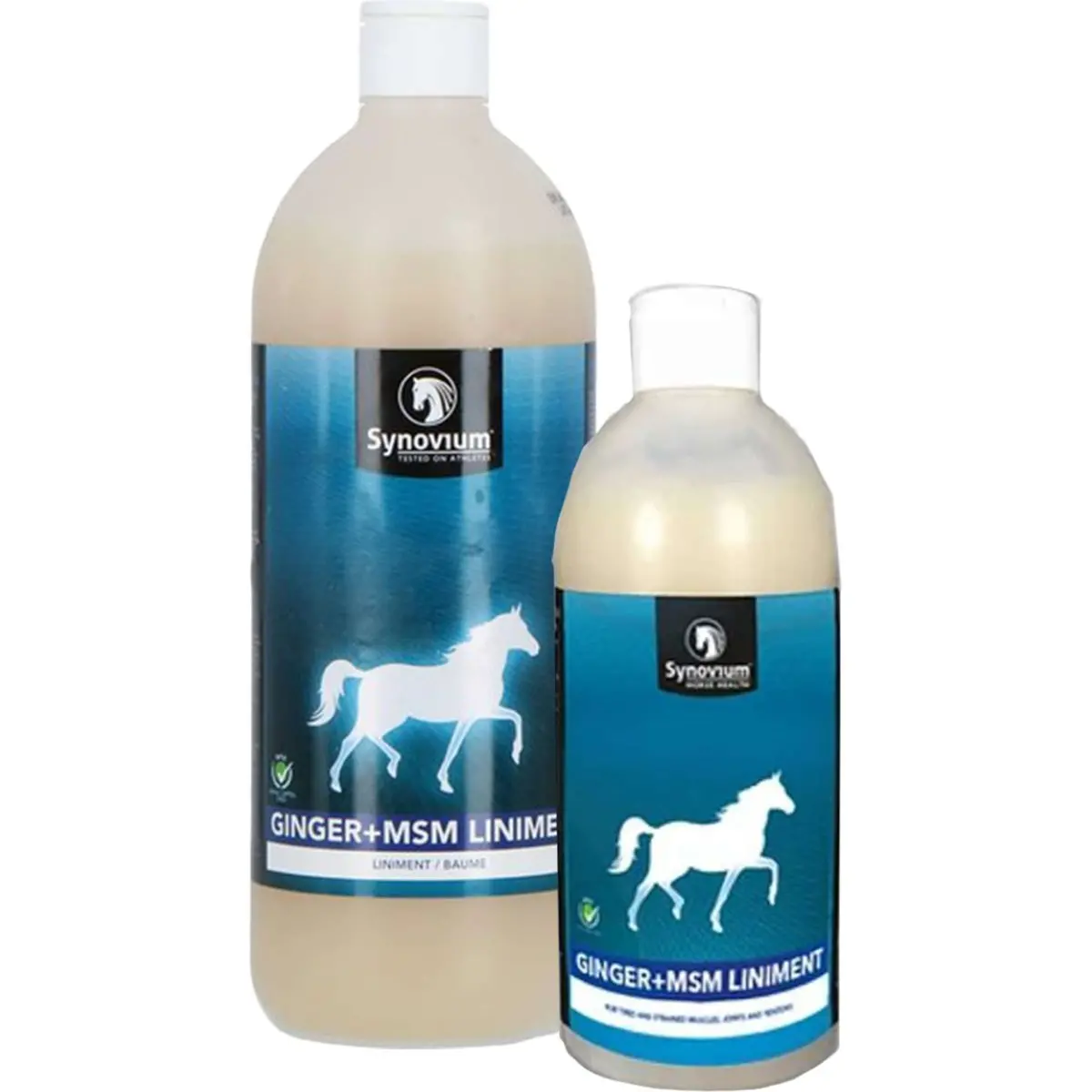 Synovium Ginger Msm Liniment 1