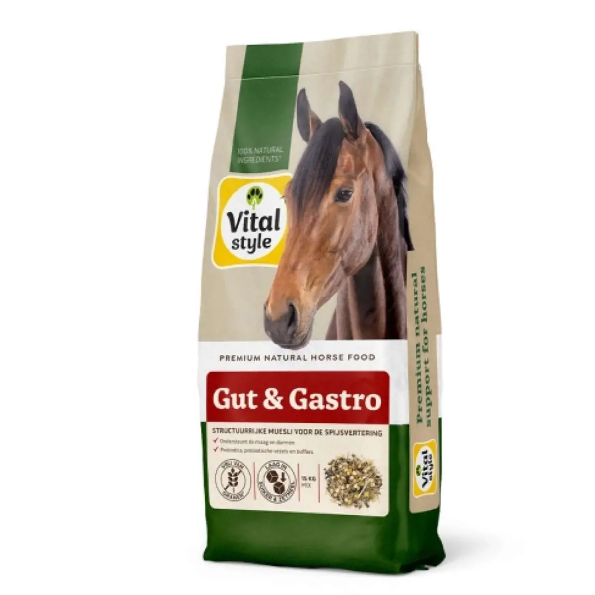 Vitalstyle Muesli Gut & Gastro 1