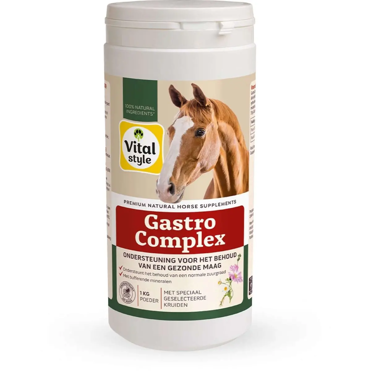 Vitalstyle Gastrocomplex 1