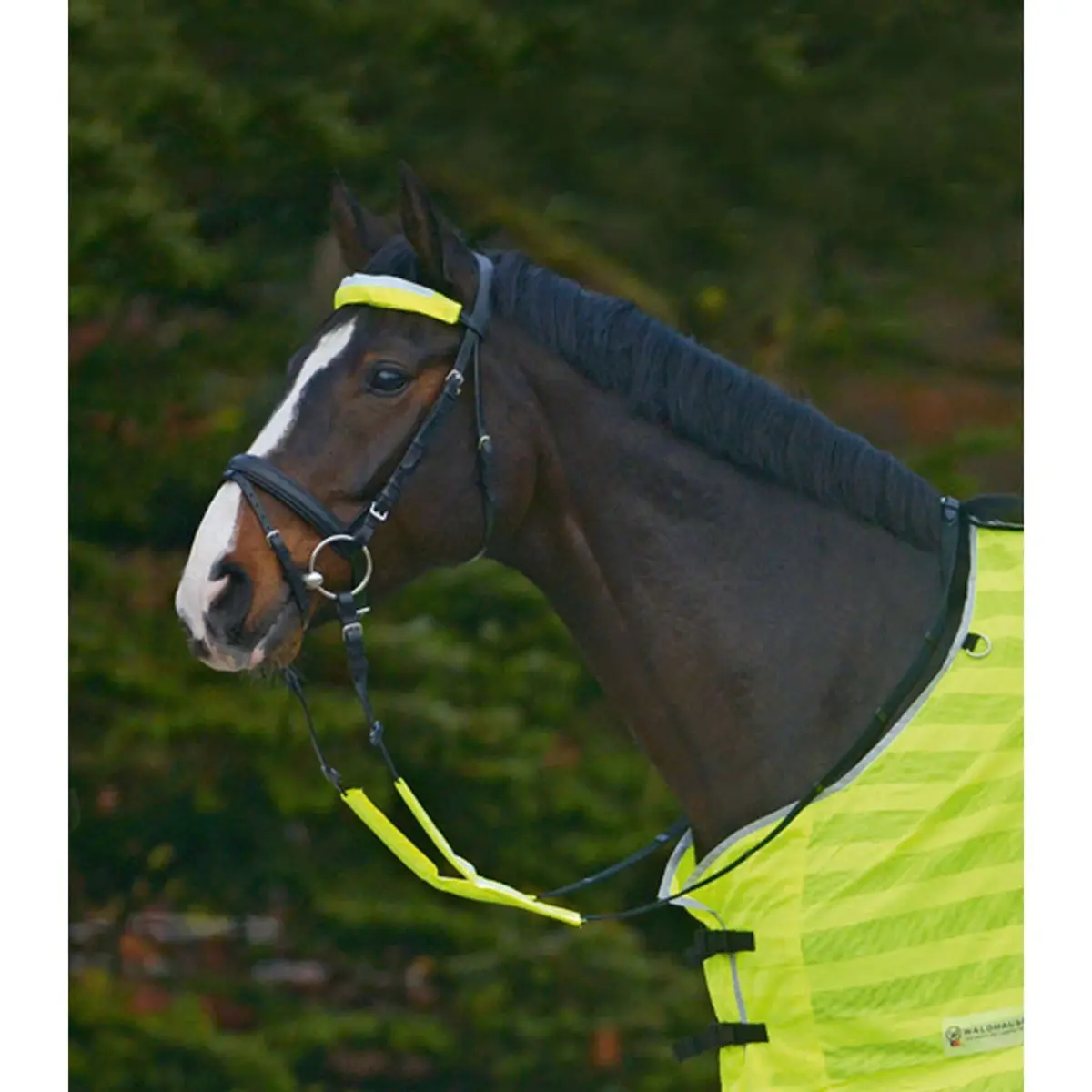 Waldhausen Hoofdstelset Reflex 3 Delig Neon Geel 1