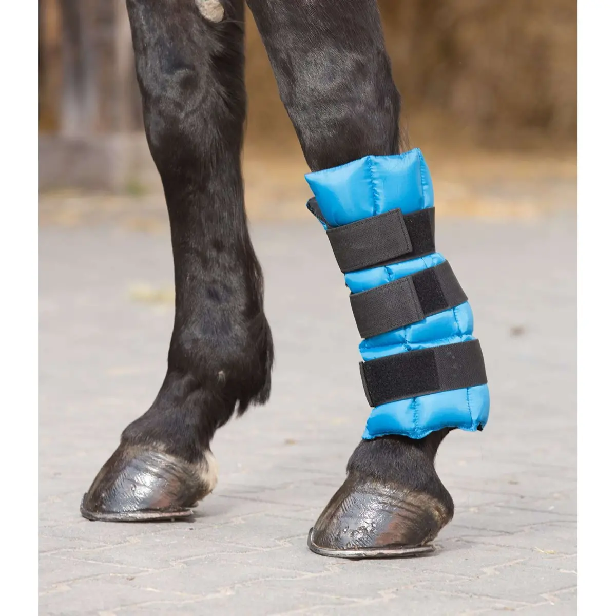 Waldhausen Health + Care Ice Boot Gel Petrol 1