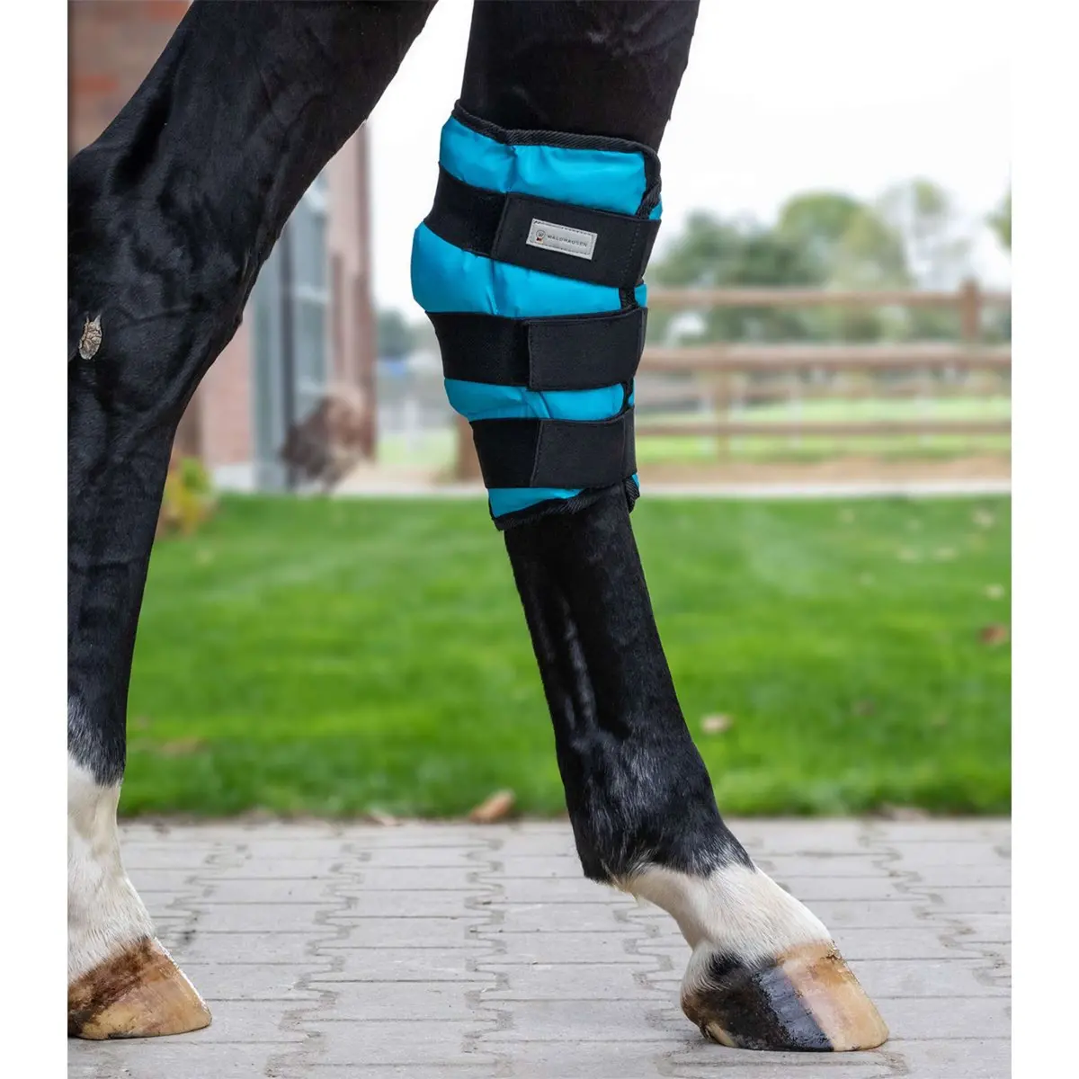 Waldhausen Health + Care Ice Boot Gel Spronggewricht Petrol 1