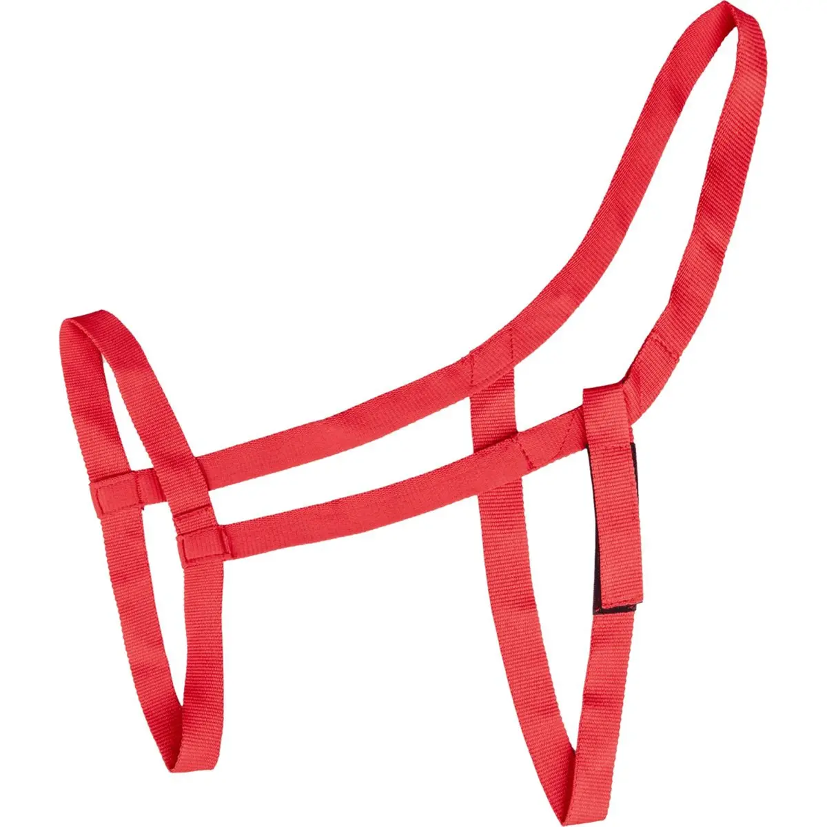 Waldhausen Halster Weide Rood 1