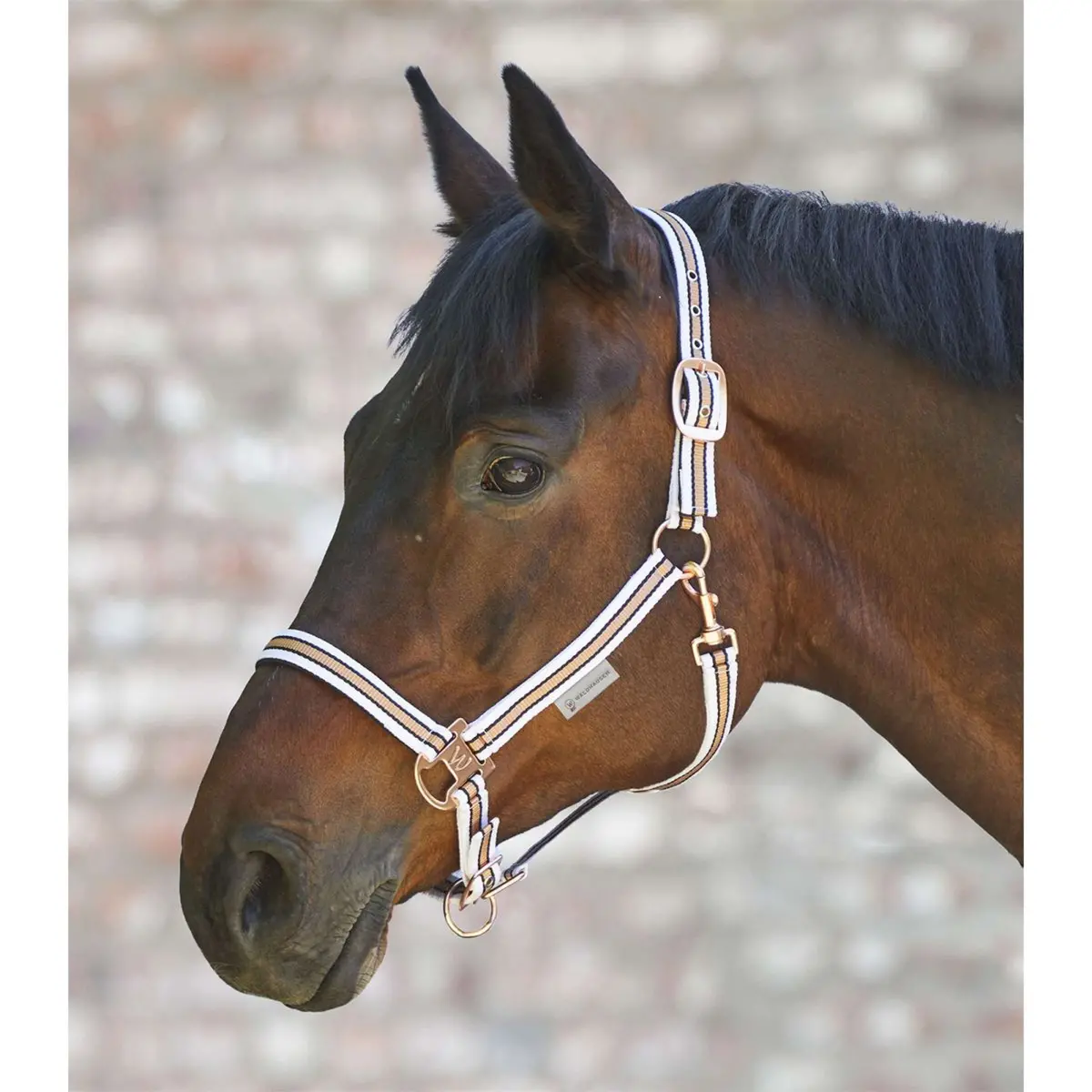 Waldhausen Halster Shine Wit/Rosé 1