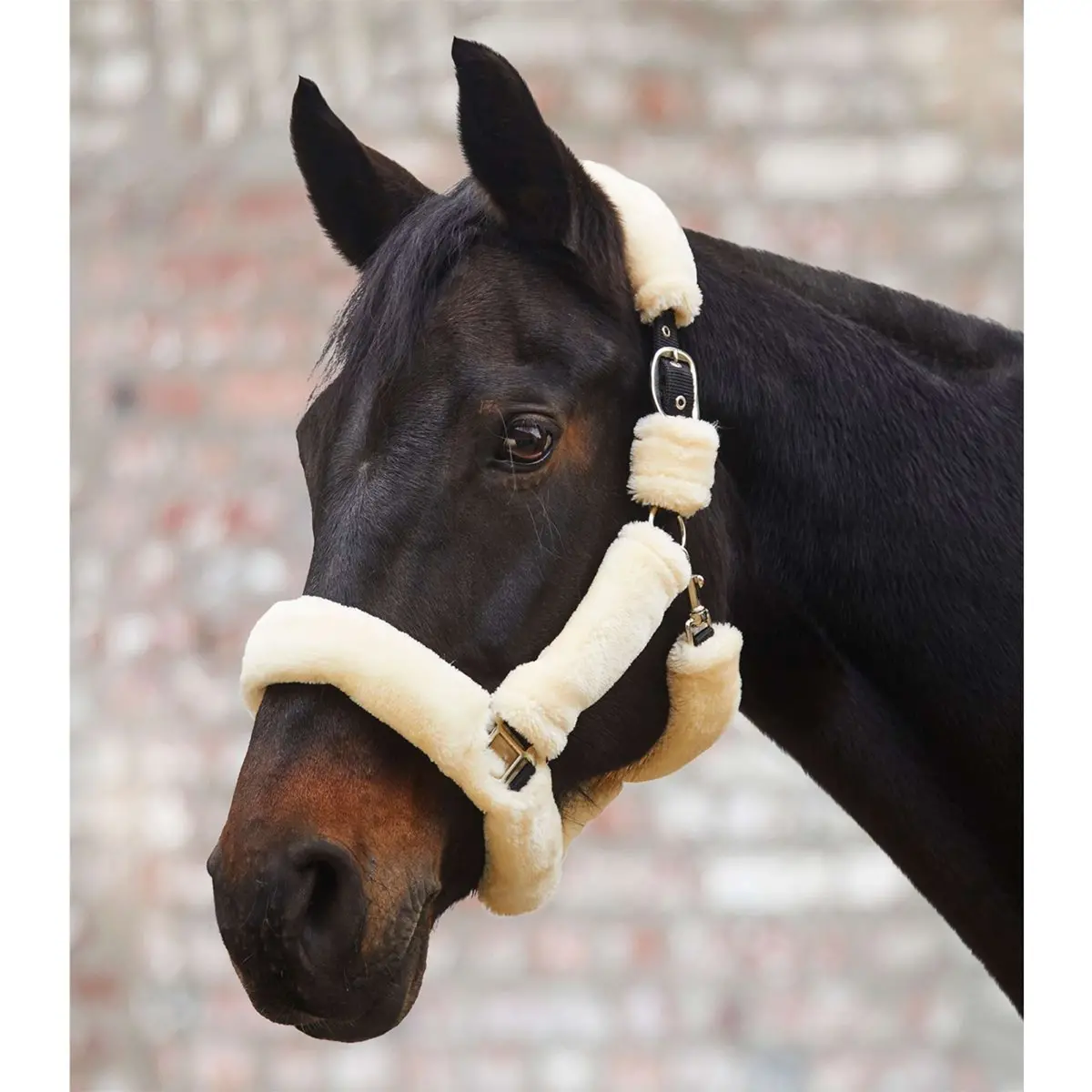 Waldhausen Halster Cozy Cream 2