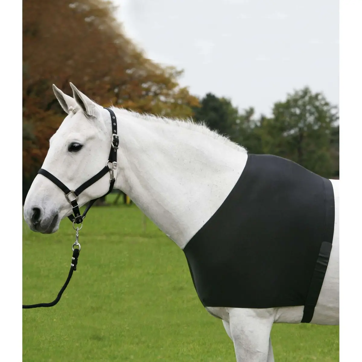 Waldhausen Borstbeschermer Comfort Vest Zwart 1