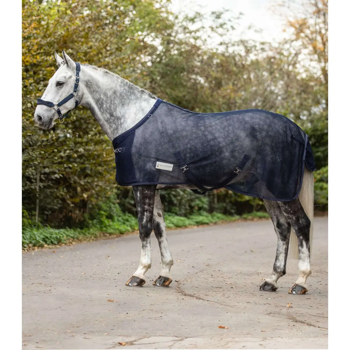 Waldhausen Vliegendeken Comfort Met Kruissingels Nightblue 1