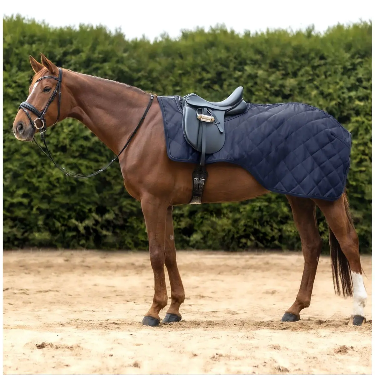 Waldhausen Uitrijdeken Exclusive Nightblue 1