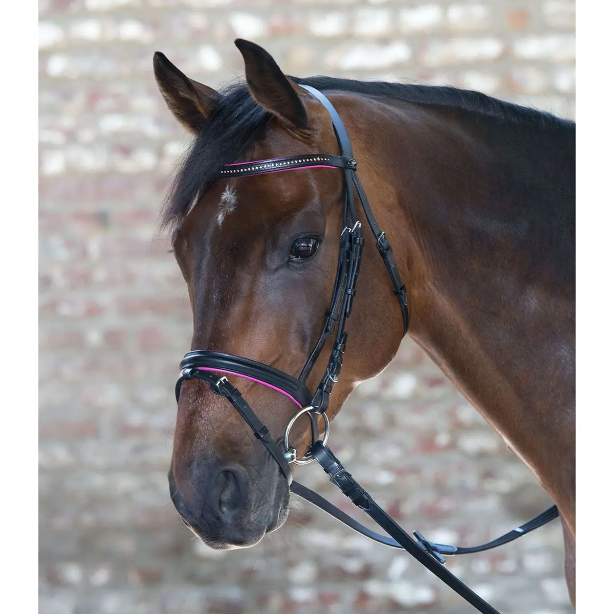 Star Trenshoofdstel Diamond Engels Gecombineerd Fuchsia 1