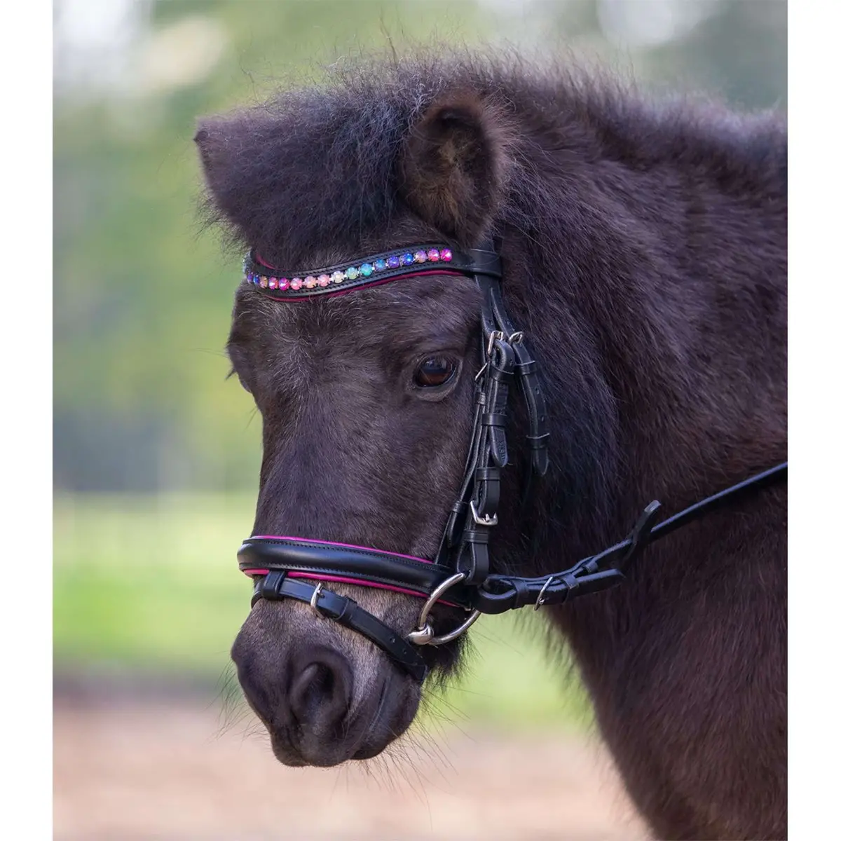 Star Trenshoofdstel Pinky Engels Gecombineerd Zwart 1