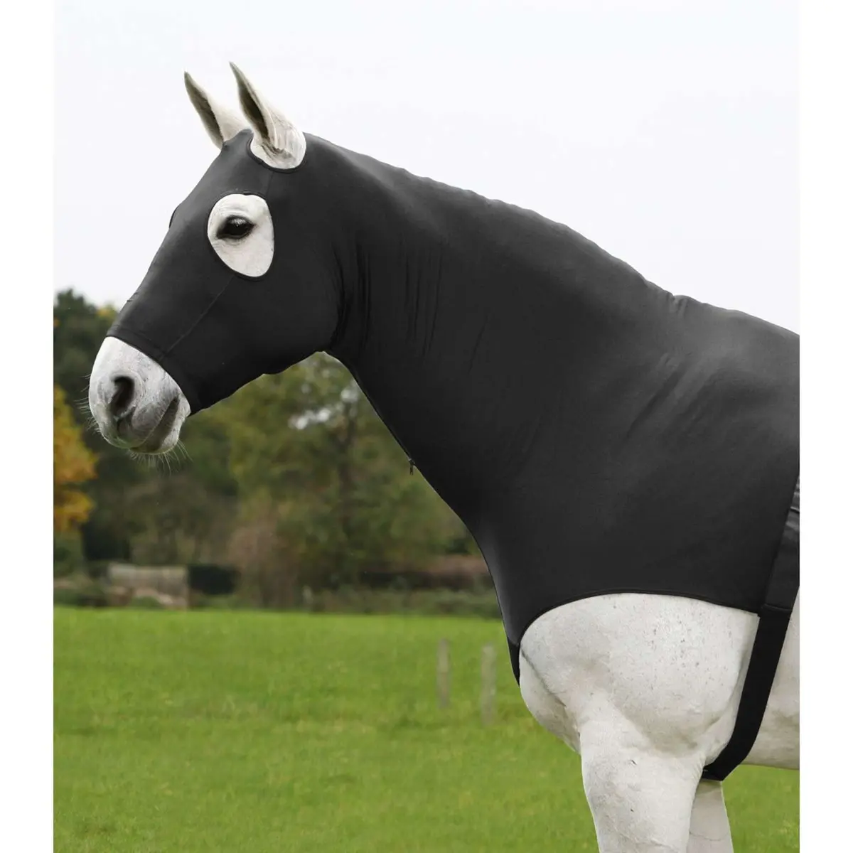 Waldhausen Hood Comfort Combination Zwart 1