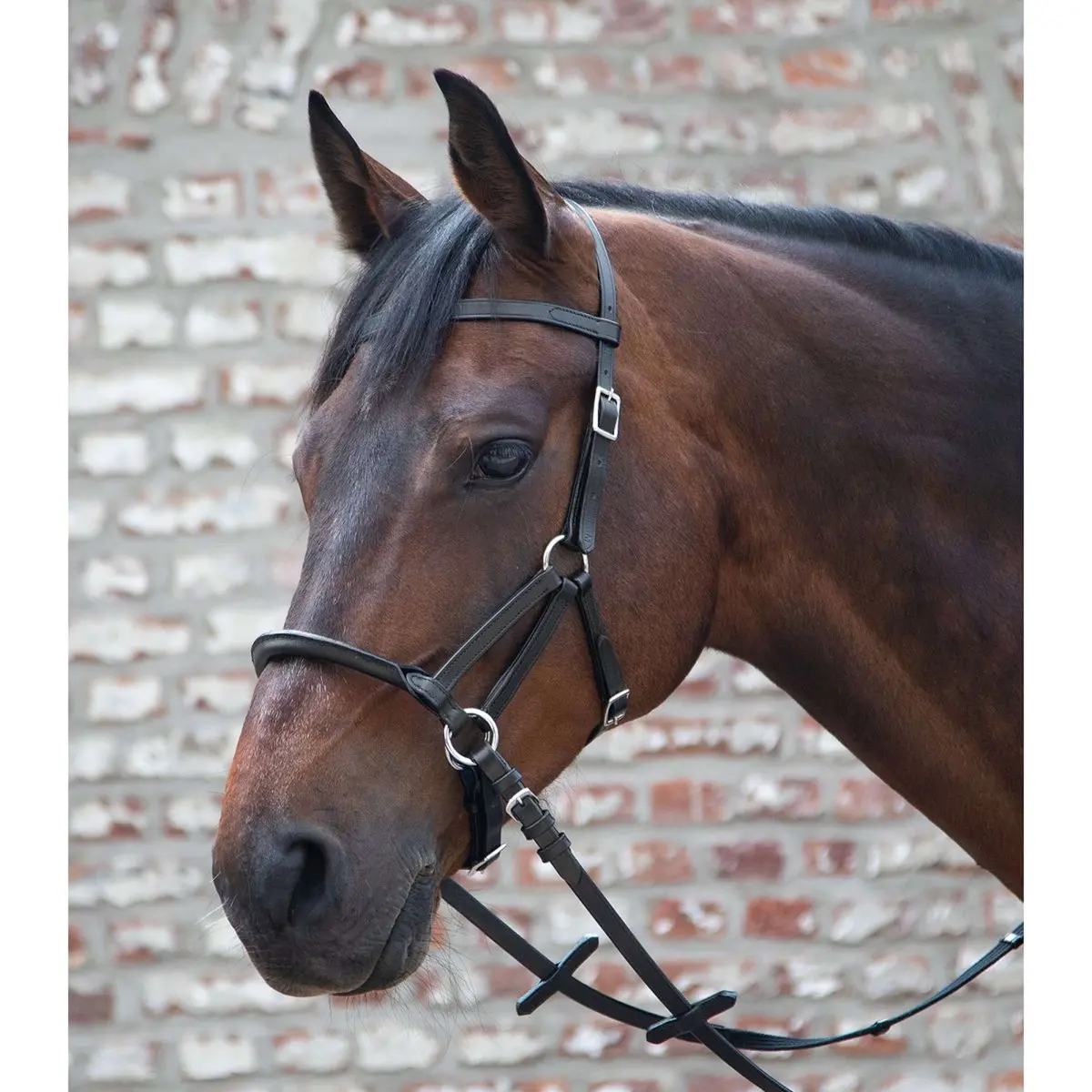 Waldhausen Bitloos Hoofdstel Linda Tellington Jones Zwart 1