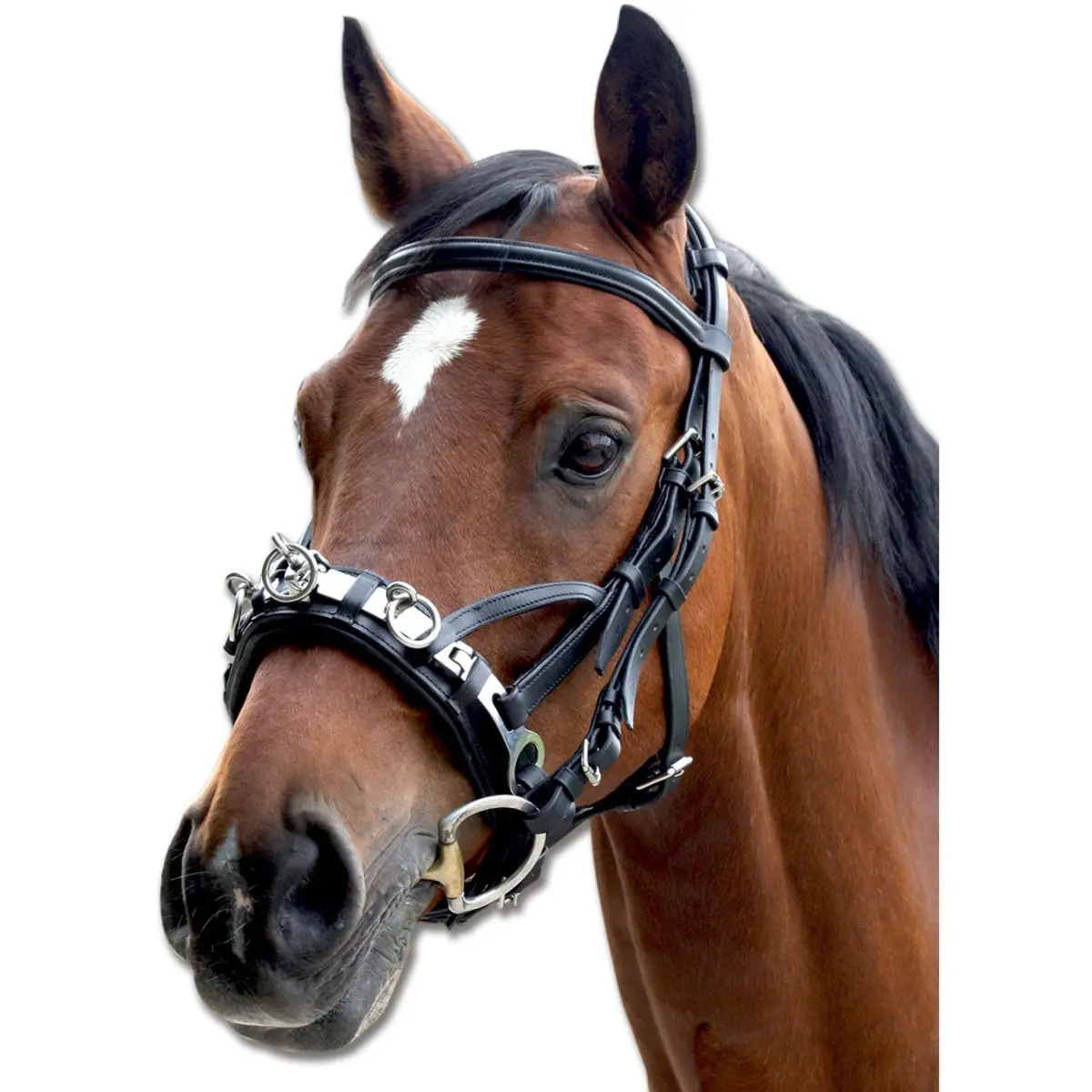 Waldhausen Kaptoom Leder 1