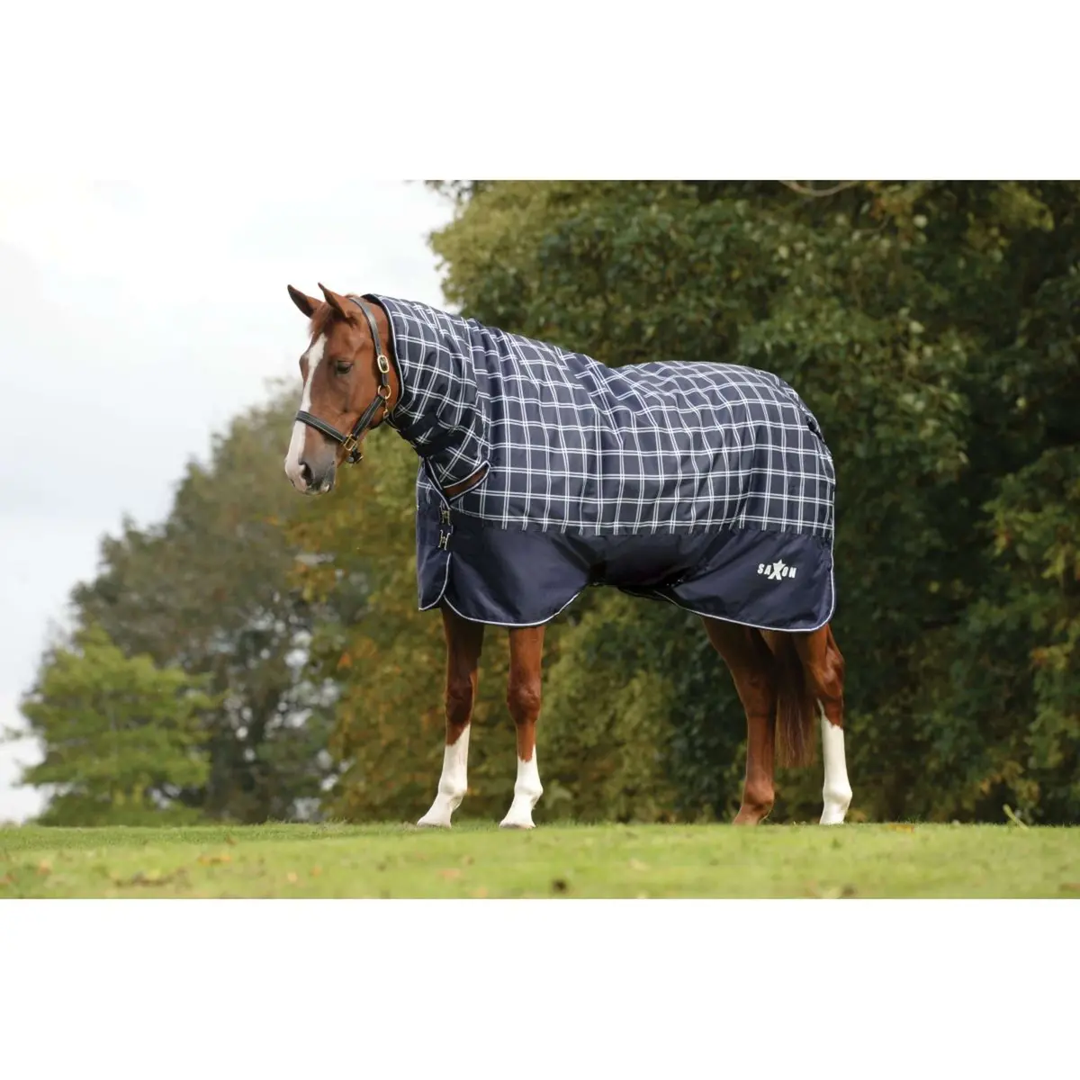 Saxon Deken Defiant 600D Combo Neck Heavy 300G Navy Plaid 1