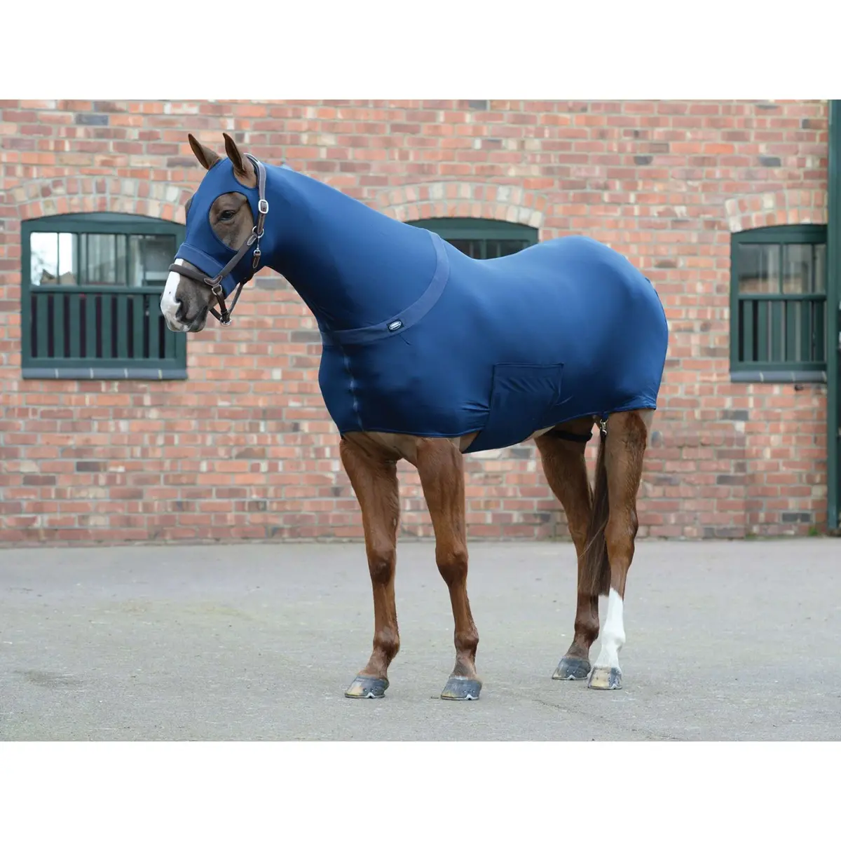 Weatherbeeta Rug Stretch Navy 1