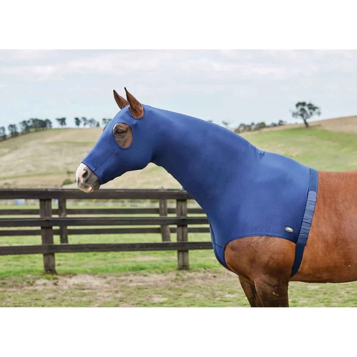 Weatherbeeta Hood Stretch With Zip Navy 1