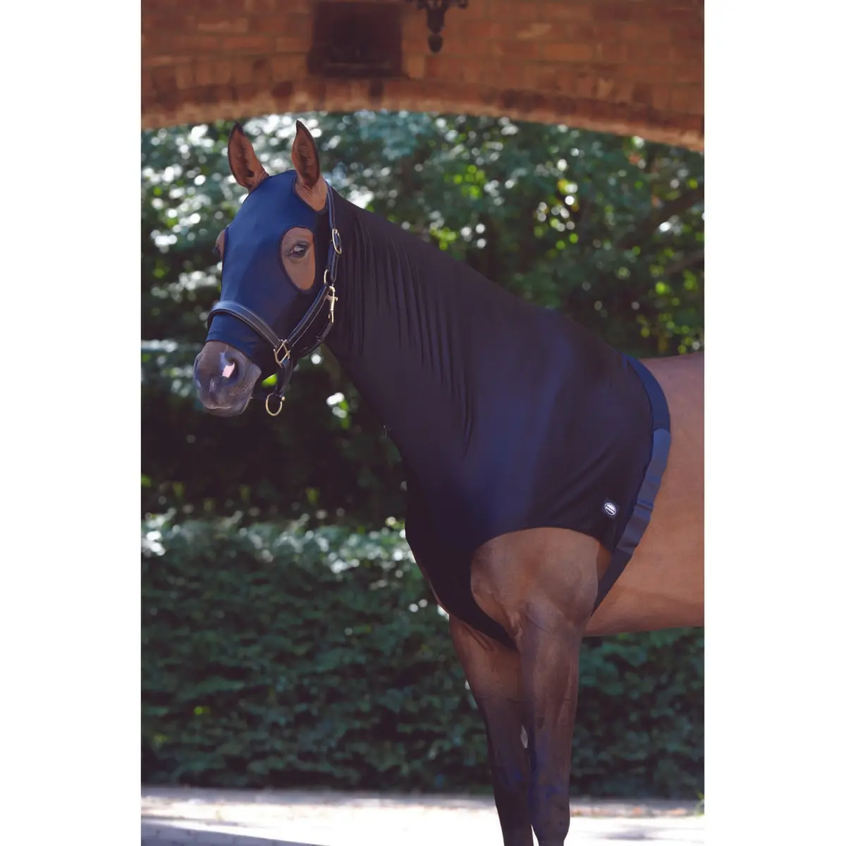 Weatherbeeta Hood Stretch With Zip Black 1