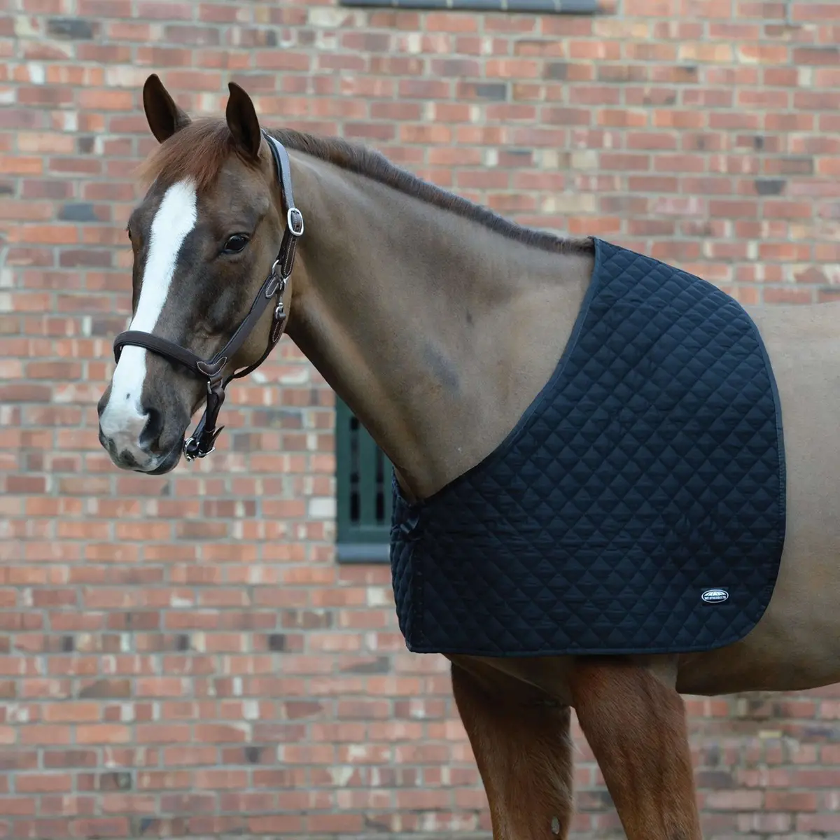 Weatherbeeta Shoulder Guard Deluxe Black 1