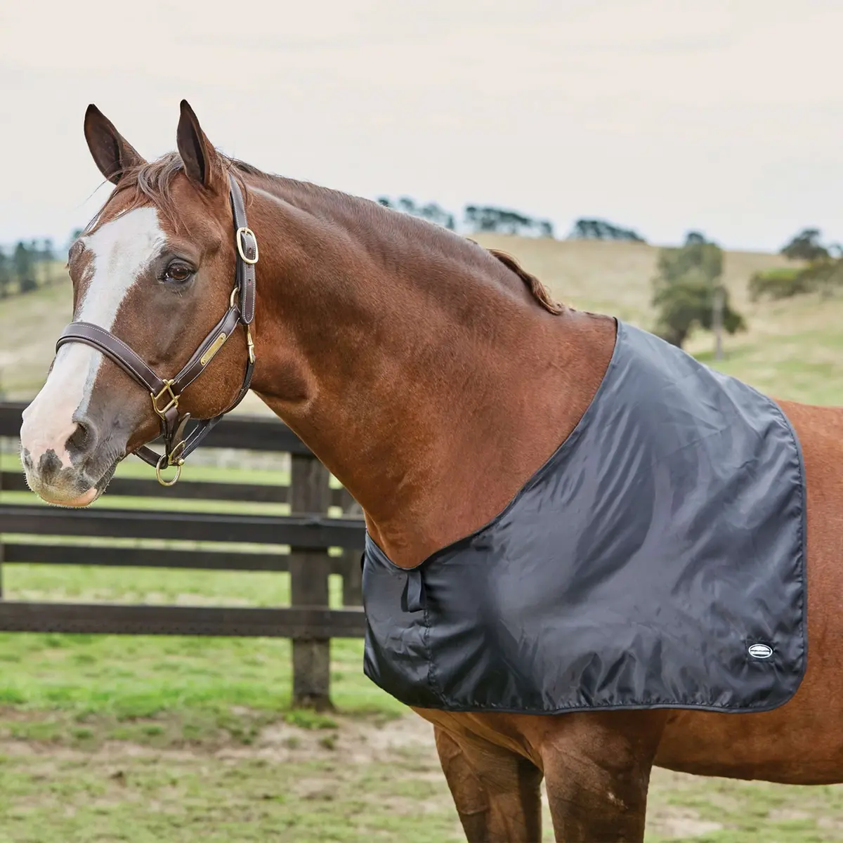 Weatherbeeta Shoulder Guard Satin Black 1