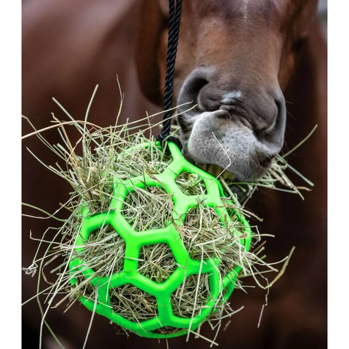 Waldhausen Hooibal Groen 1