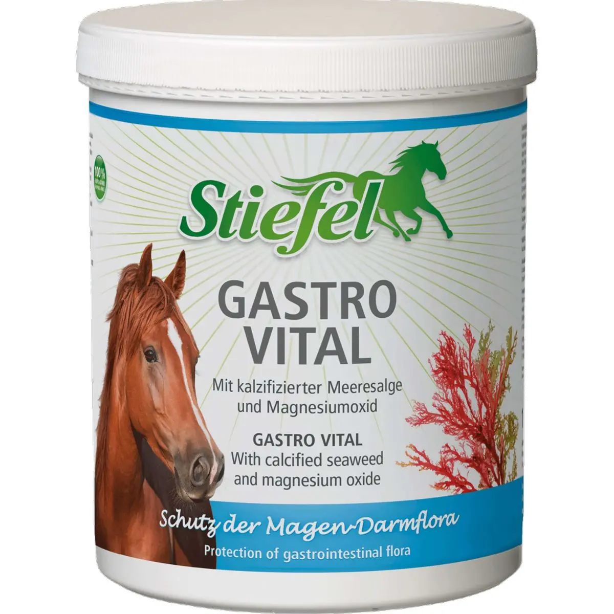 Stiefel Gastro Vital 1