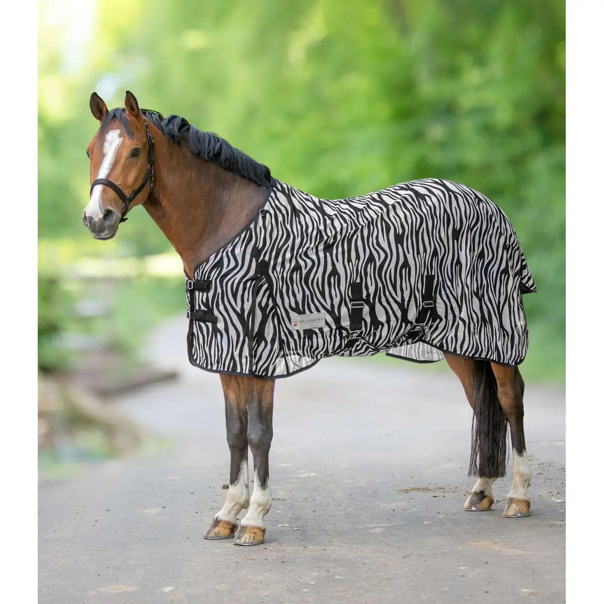 Waldhausen Vliegendeken Zebra 1