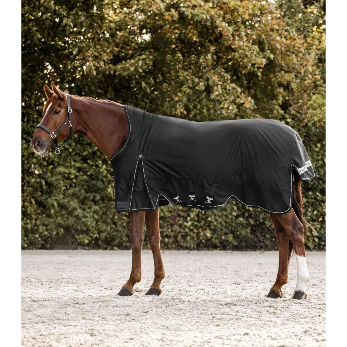 Waldhausen Outdoordeken Scandic High Neck 200G Zwart 1