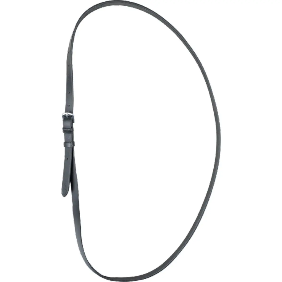 Waldhausen Riding Strap Zwart 1
