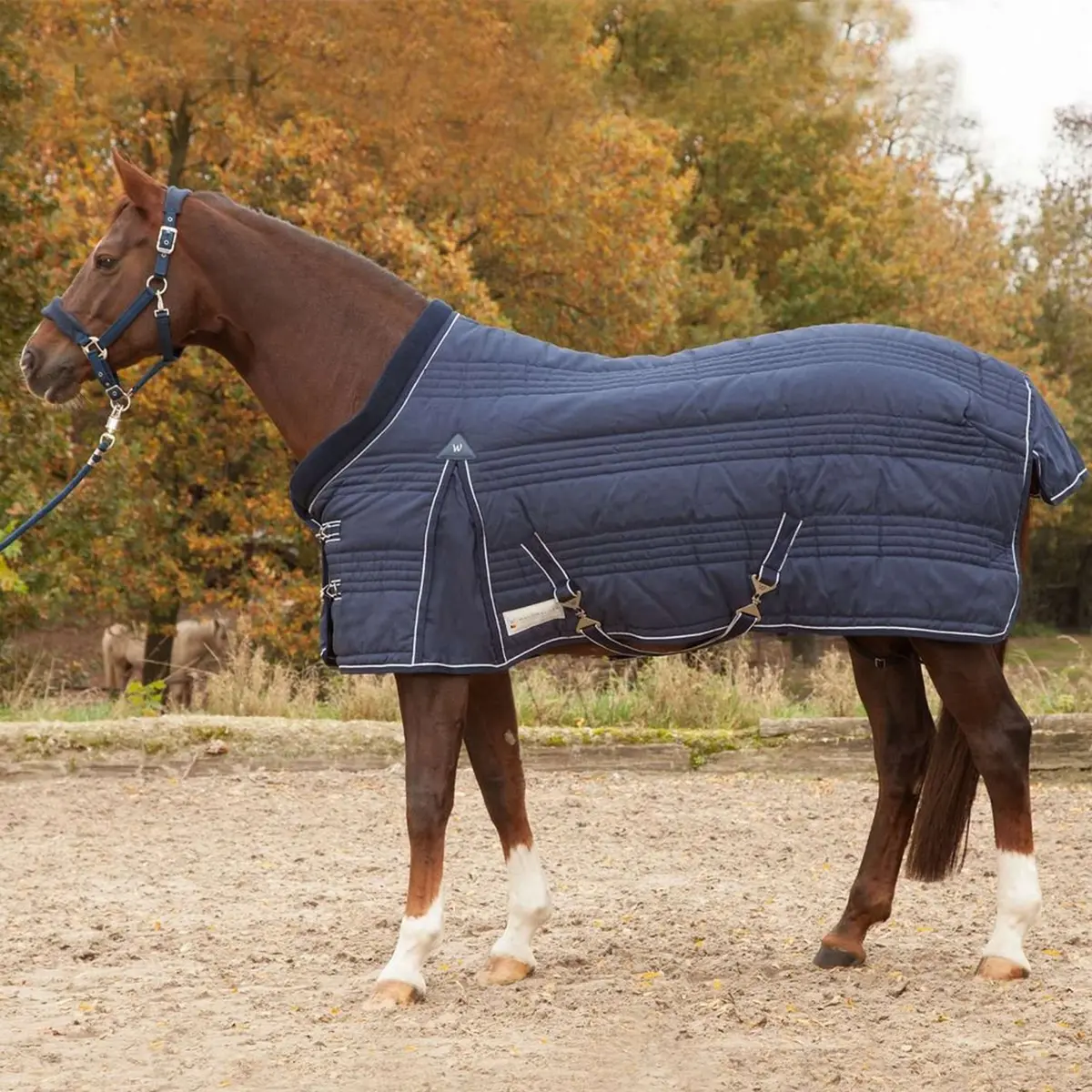Waldhausen Staldeken Comfort Line 300G Nightblue 1
