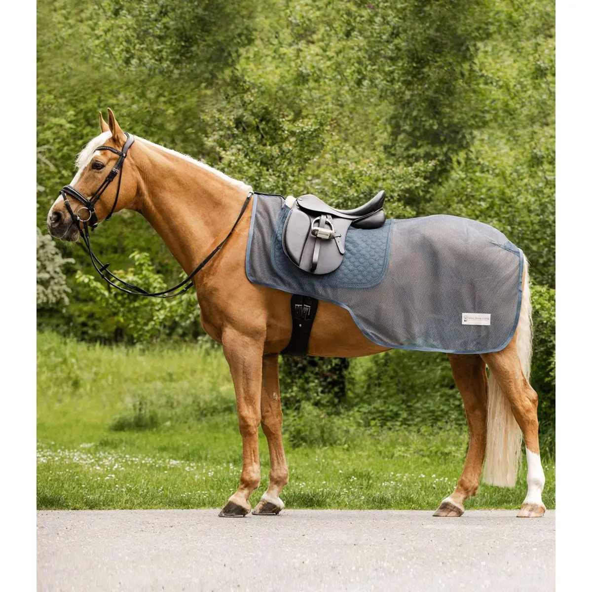 Waldhausen Vliegenuitrijdeken Comfort Chalk Blue 1