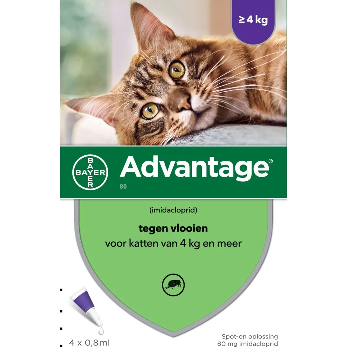 Advantage 80 Spot-On Kat 4-8Kg 1