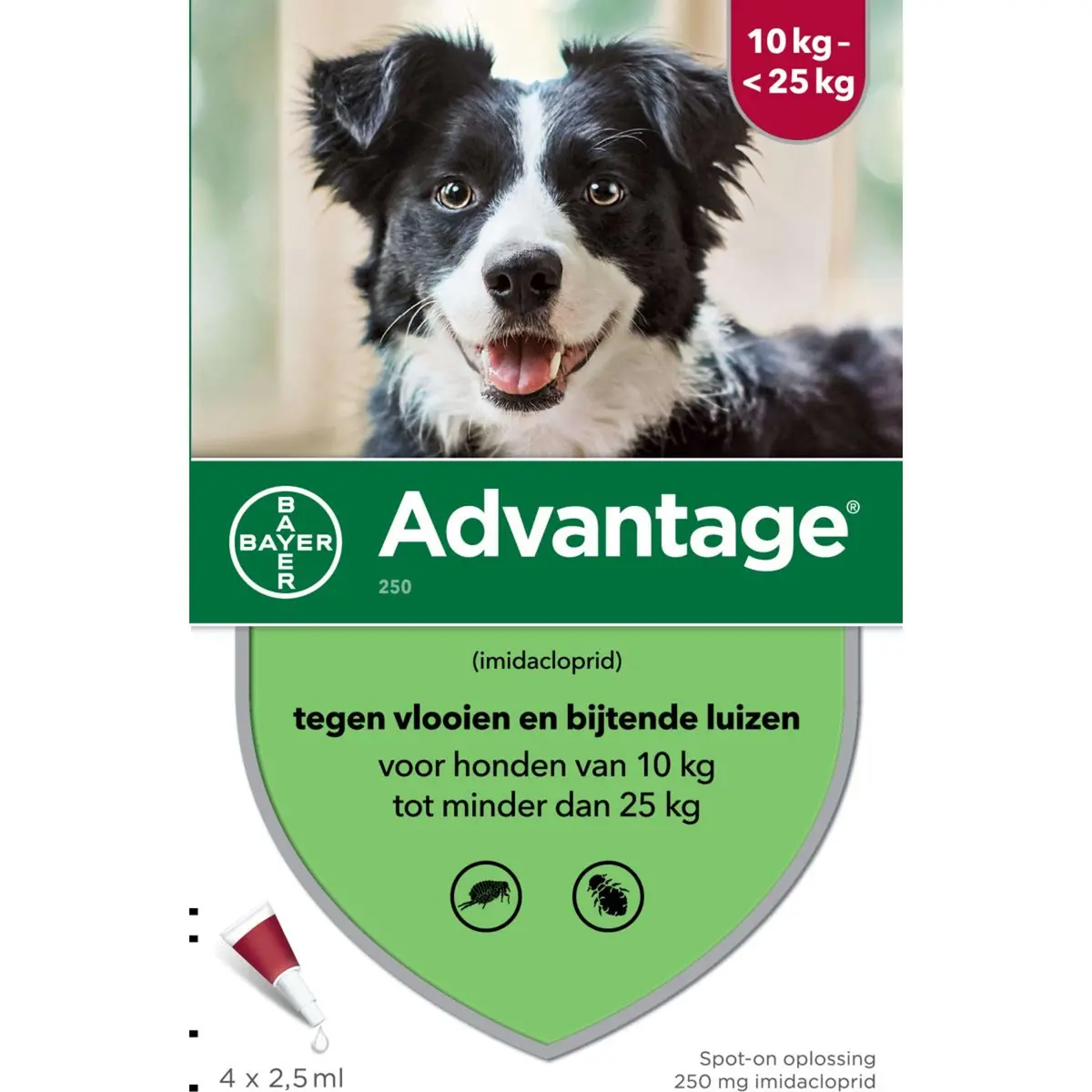 Advantage 250 Spot-On Hond 10-25Kg 1
