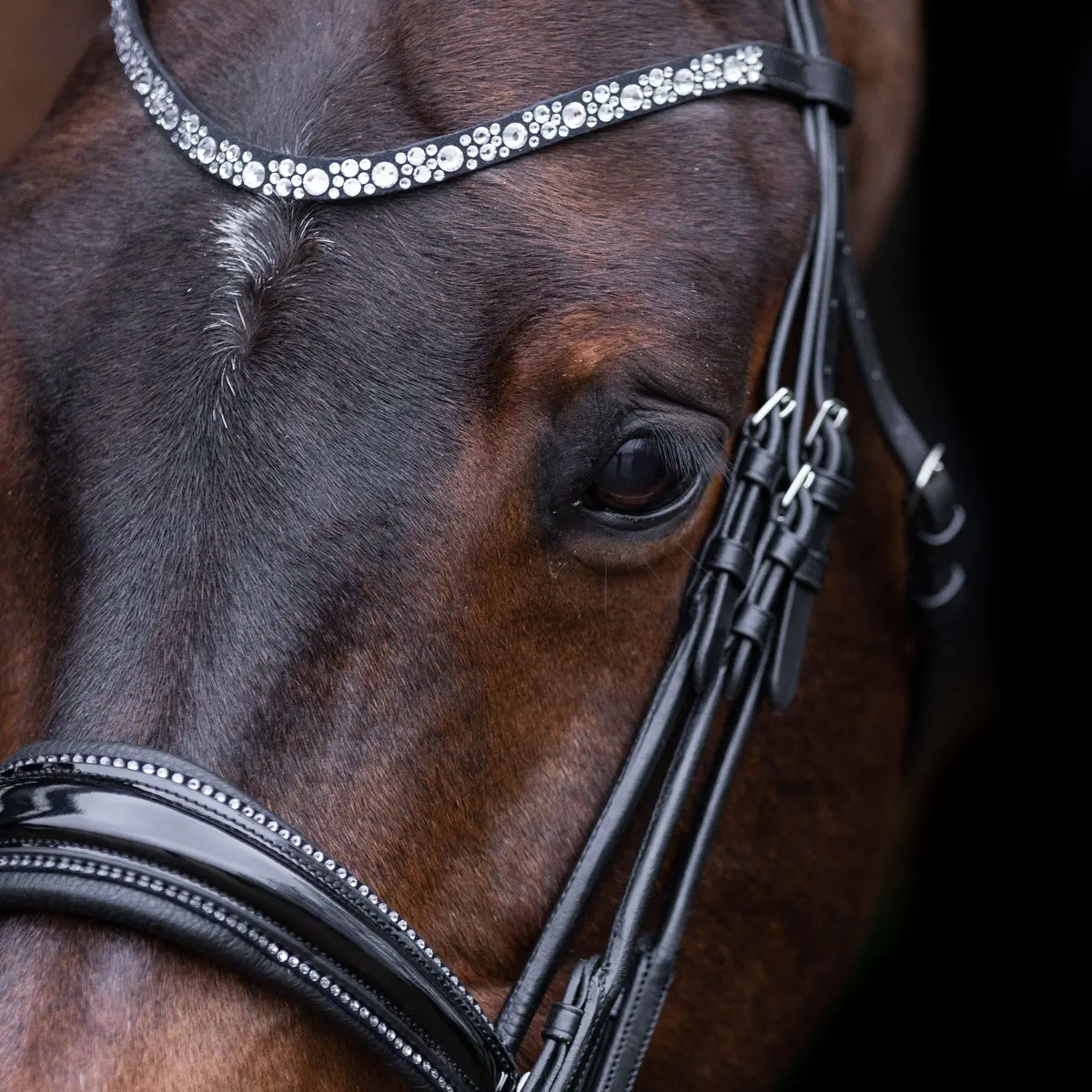 Imperial Riding Stang- En Trenshoofdstel Irholympia Zwart/Zilver 2